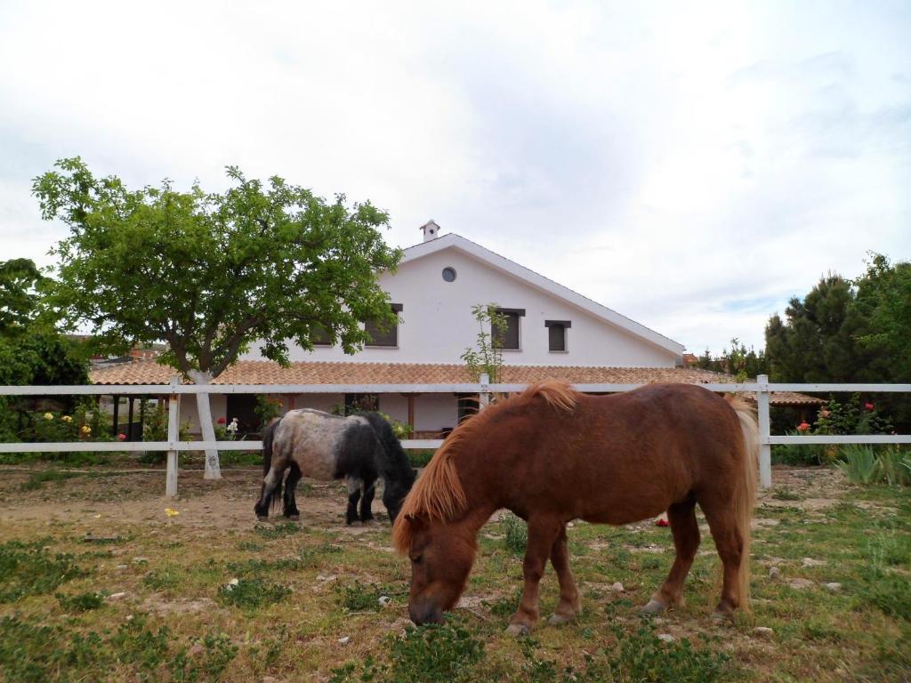 Los Laureles Casa Rural Урда Экстерьер фото